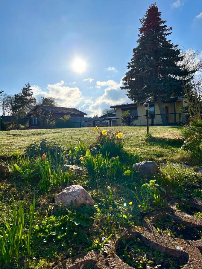 Fewo Sunshine Heringsdorf  Eksteriør billede